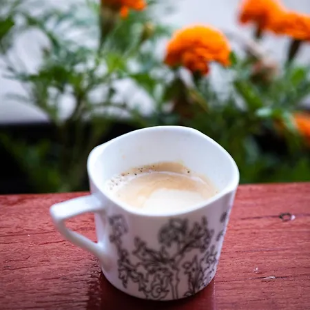 Cozy Corner - Casa Centrul Civic Si Parcare Braşov