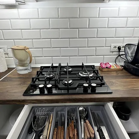Cozy Corner - Civic Center, Free Parking, Garden With Bbq Apartment